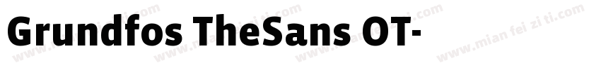 Grundfos TheSans OT字体转换